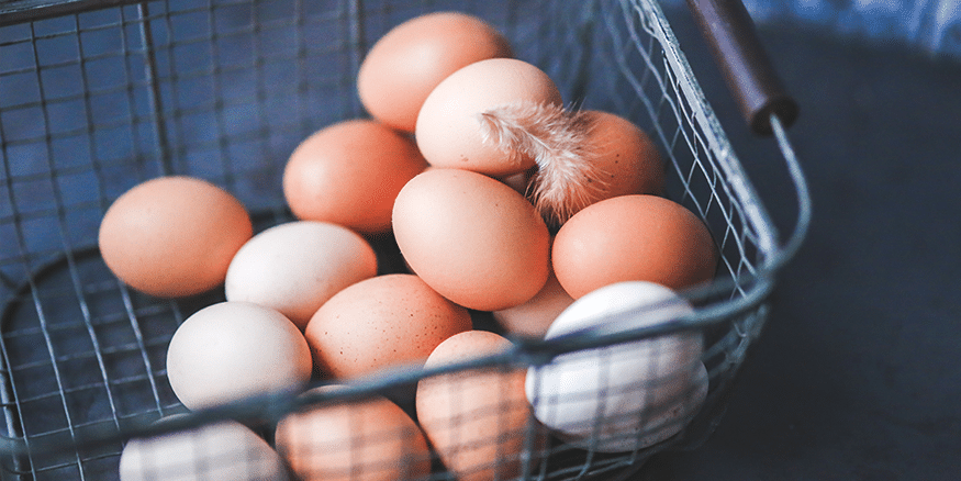 Les Bienfaits Des œufs Societe Gastro Intestinale Www Mauxdeventre Org