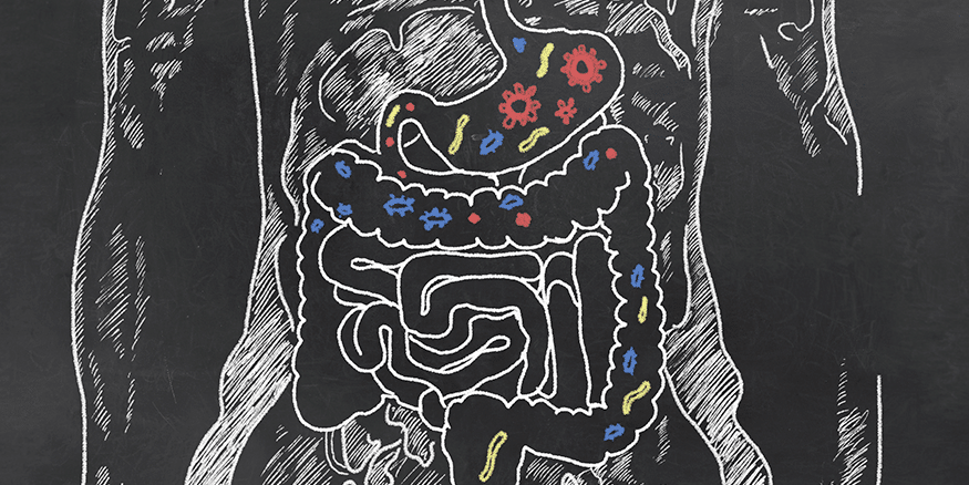 Your Gut Microbiota – Balanced or Not? - Gastrointestinal Society